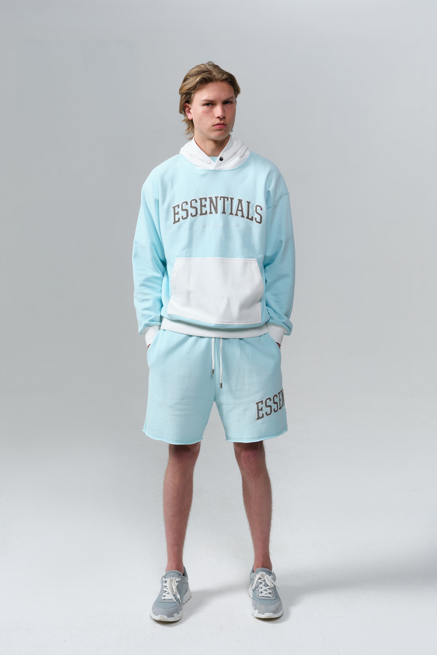 INSIGNIA HOODIE