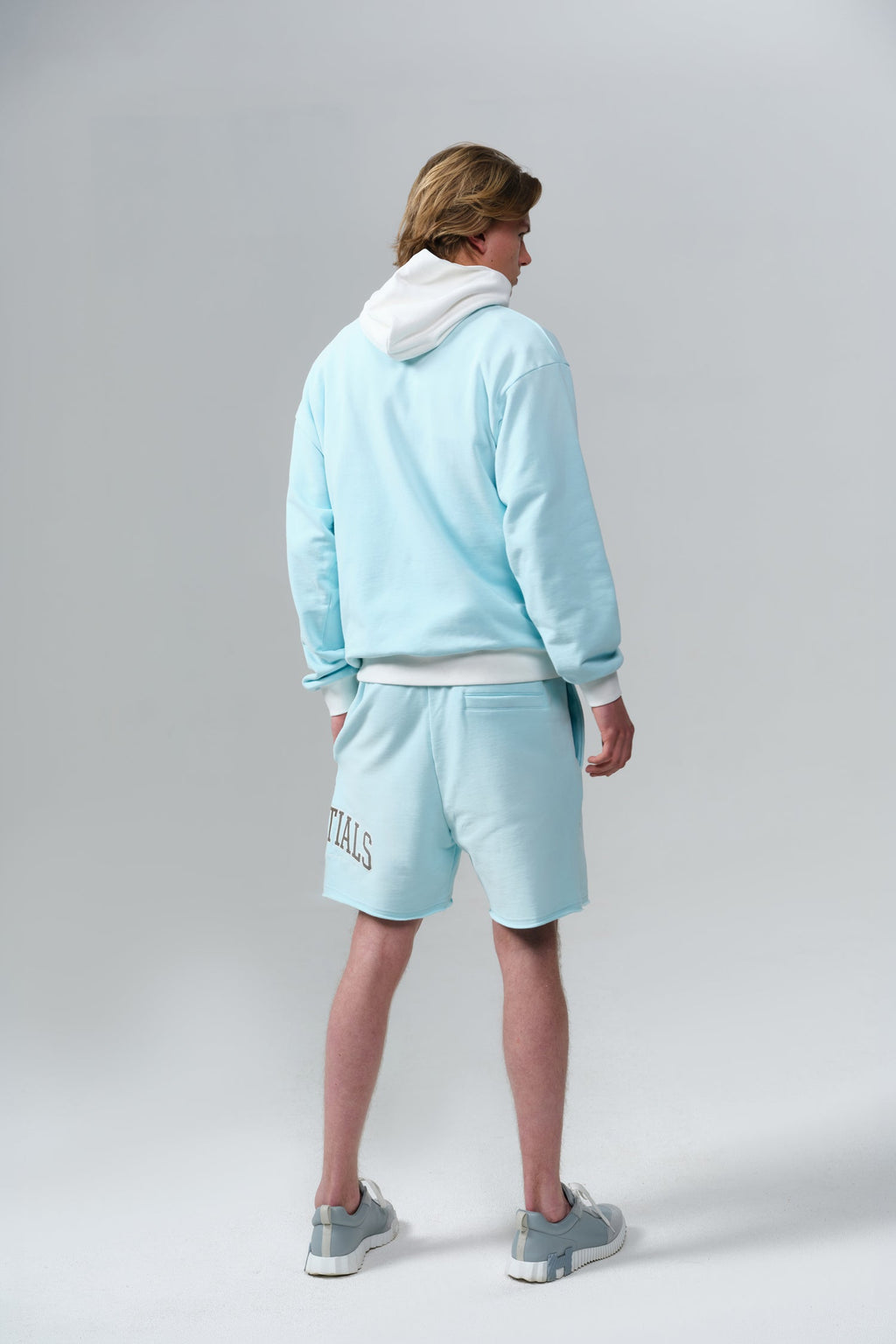 INSIGNIA HOODIE